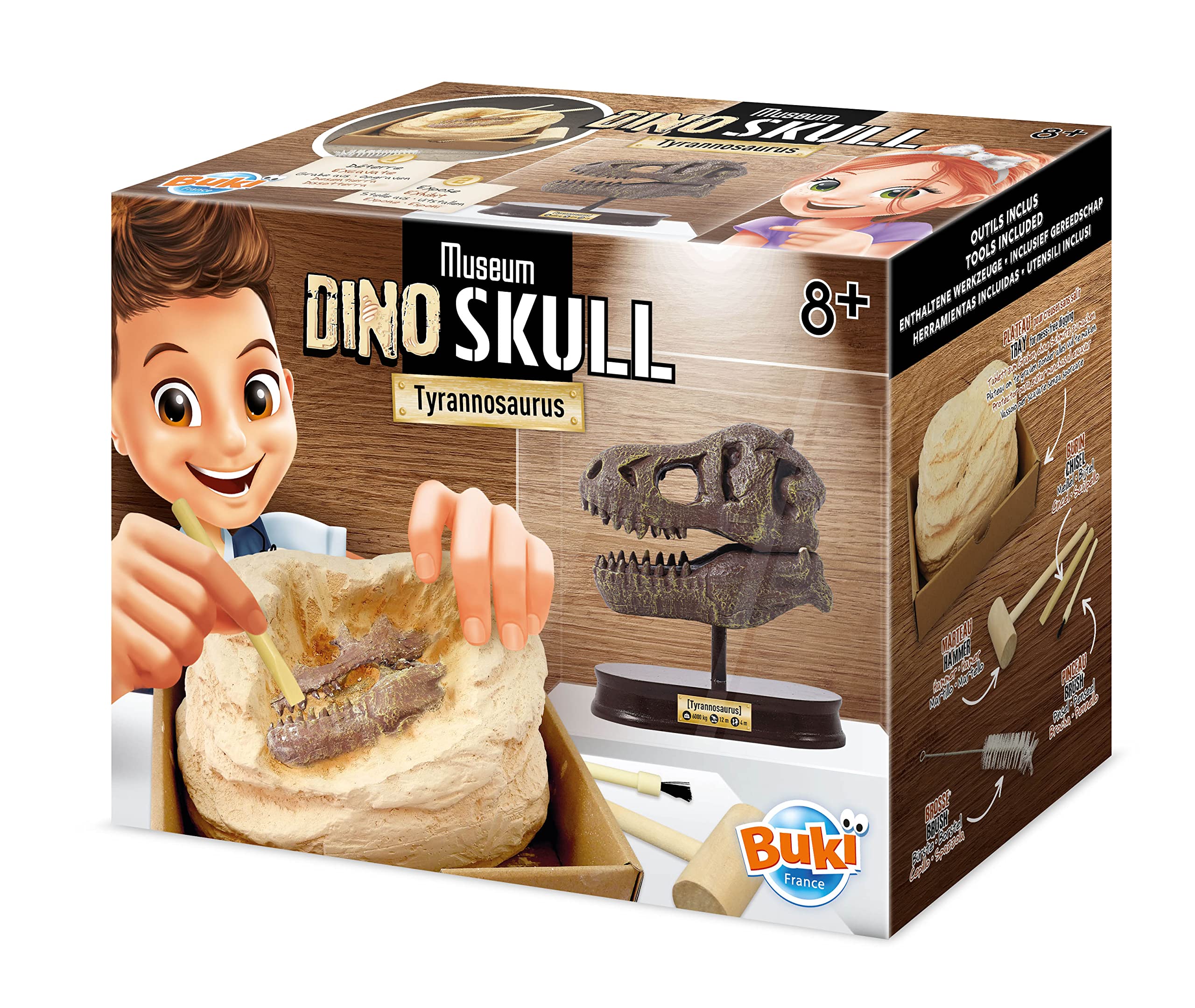 Buki France 2130 Dinosaur Skull Tyrannosaurus