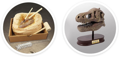 Buki France 2130 Dinosaur Skull Tyrannosaurus
