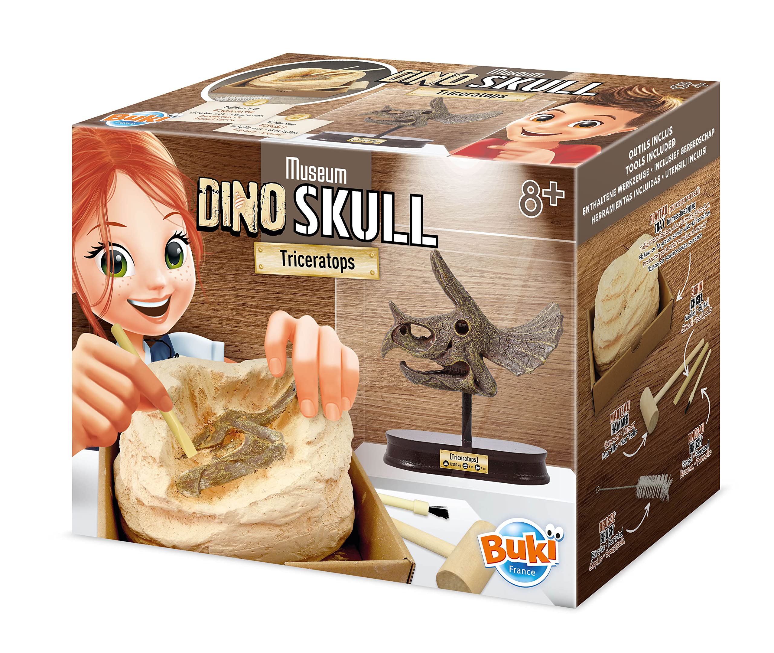 BUKI 2131 - Dinosaurier-Schädel