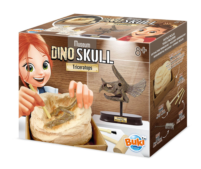 BUKI 2131 - Dinosaurier-Schädel