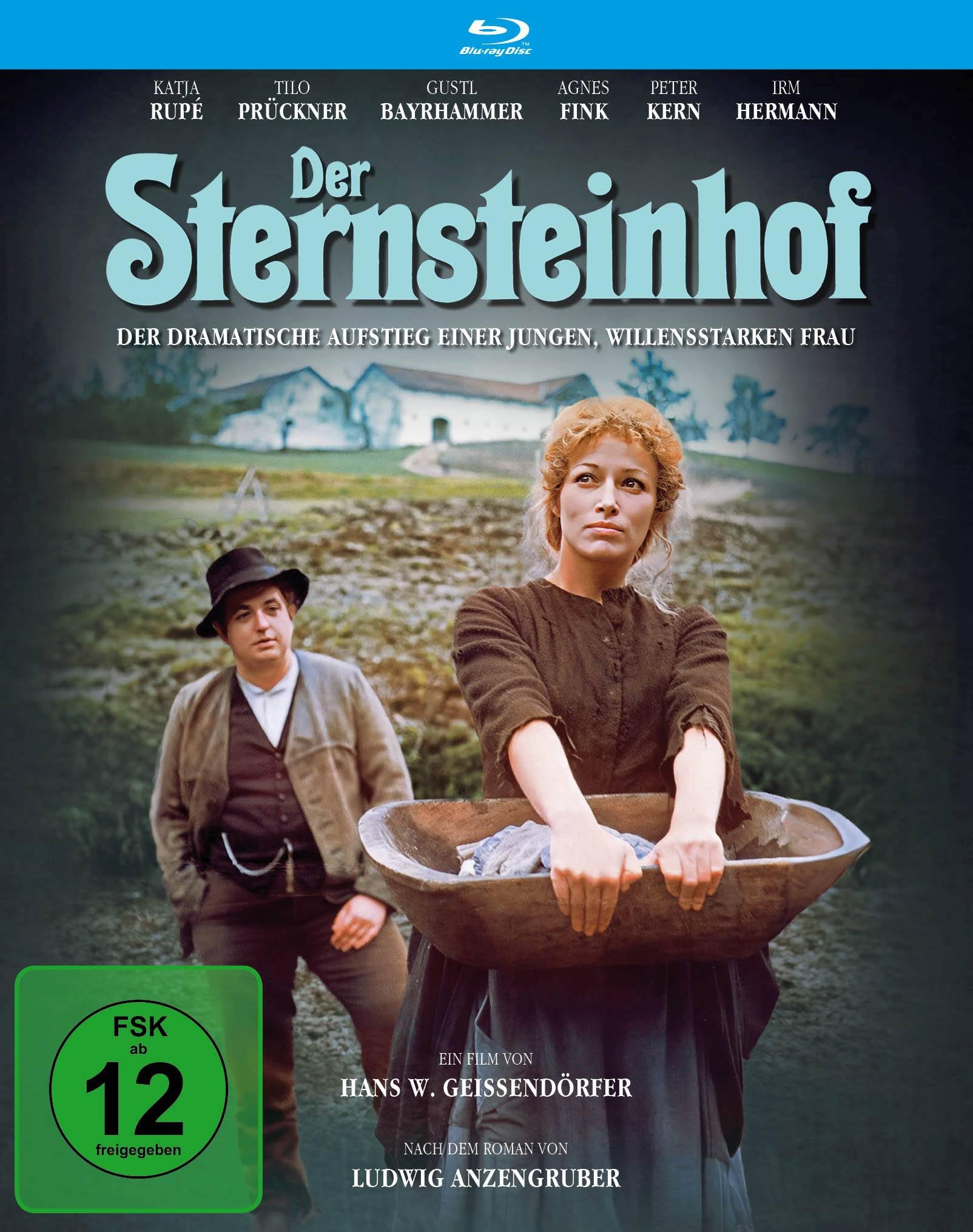 GEIBENDORFER, HANS W. - DER STERNSTEINHOF