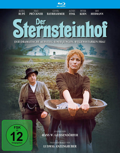 GEIBENDORFER, HANS W. - DER STERNSTEINHOF