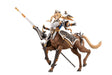 Arcanadea figurine Plastic Model Kit Elena 18 cm