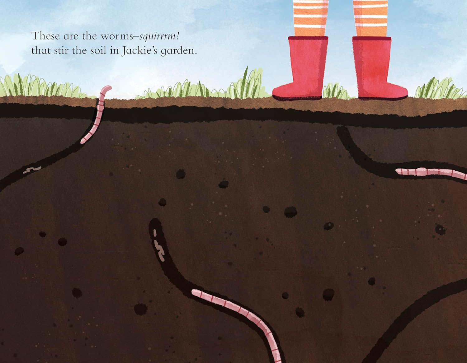 The Soil in Jackie's Garden