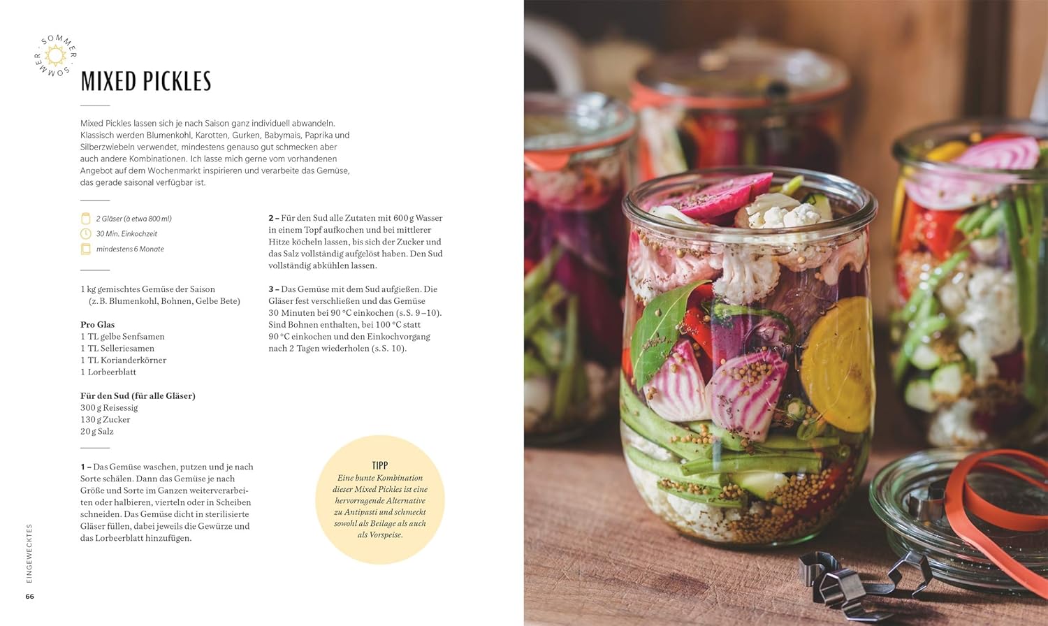Das kleine feine Einmachbuch: Das Beste aus allen Jahreszeiten im Glas