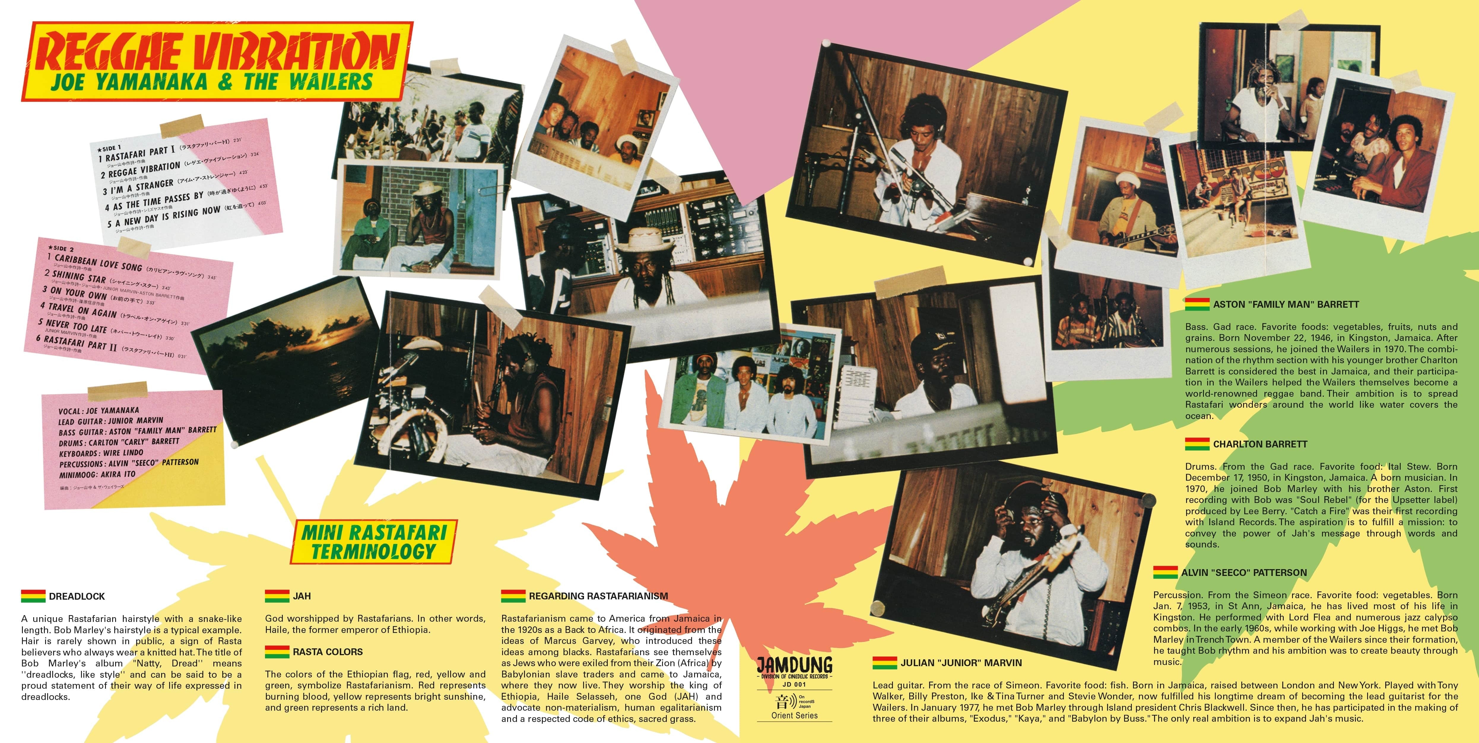 Reggae Vibration