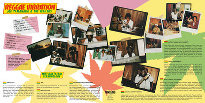Reggae Vibration