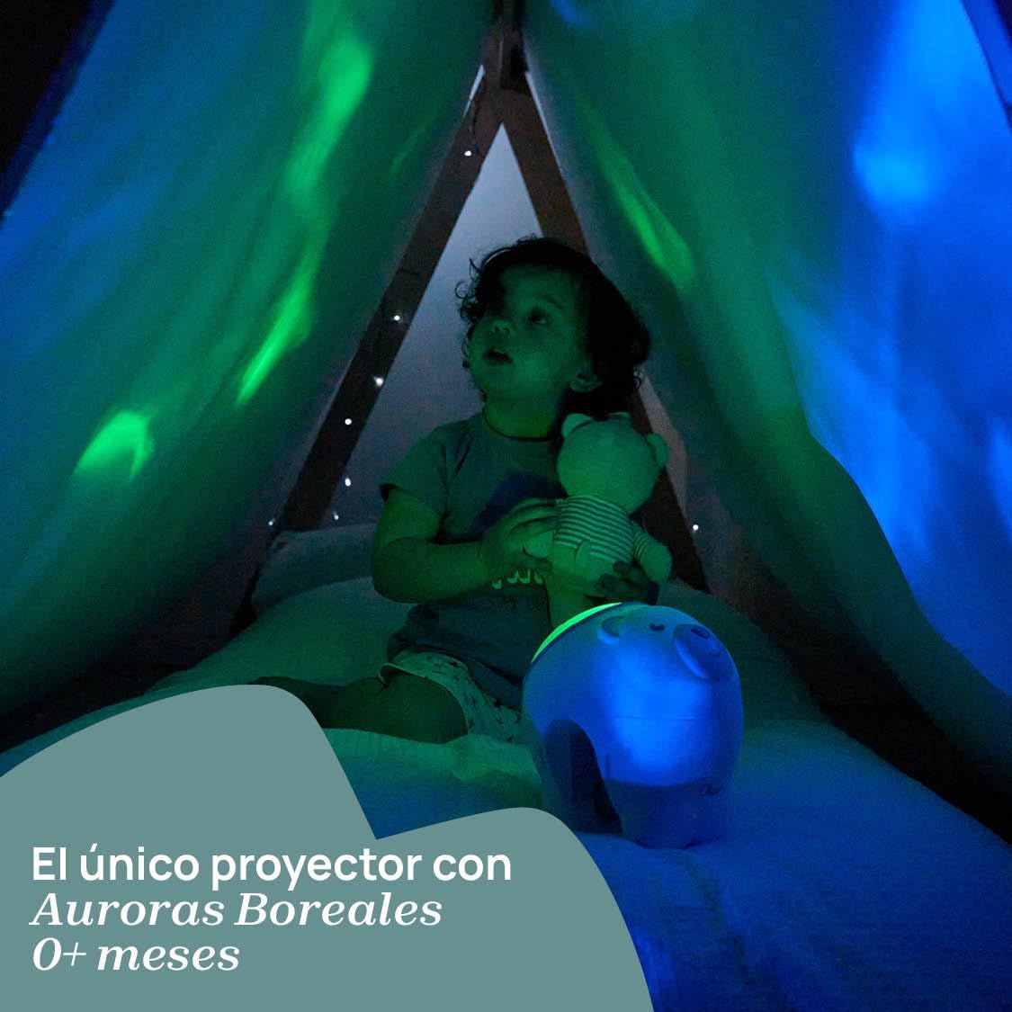 Projecteur 2en1 Ours Polaire First Dreams, pour berceau et à poser, veilleuse pour enfants, projection d'une aurore boréale, musique classique relaxante et sons de la nature, pour bébés, 0 M+