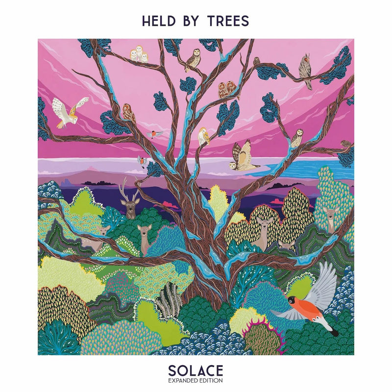 Solace (Rsd2024)