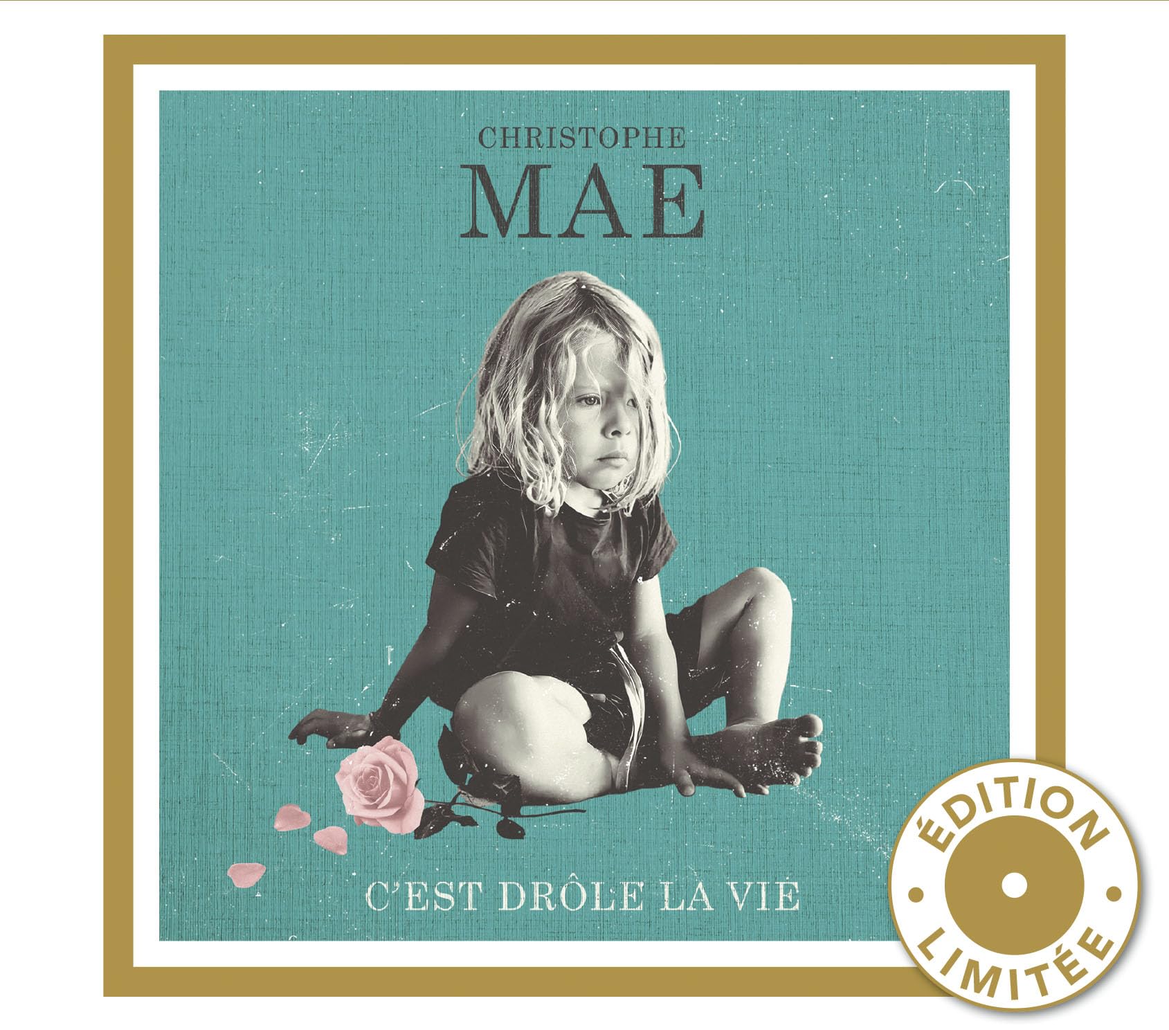 Cest Drole La Vie