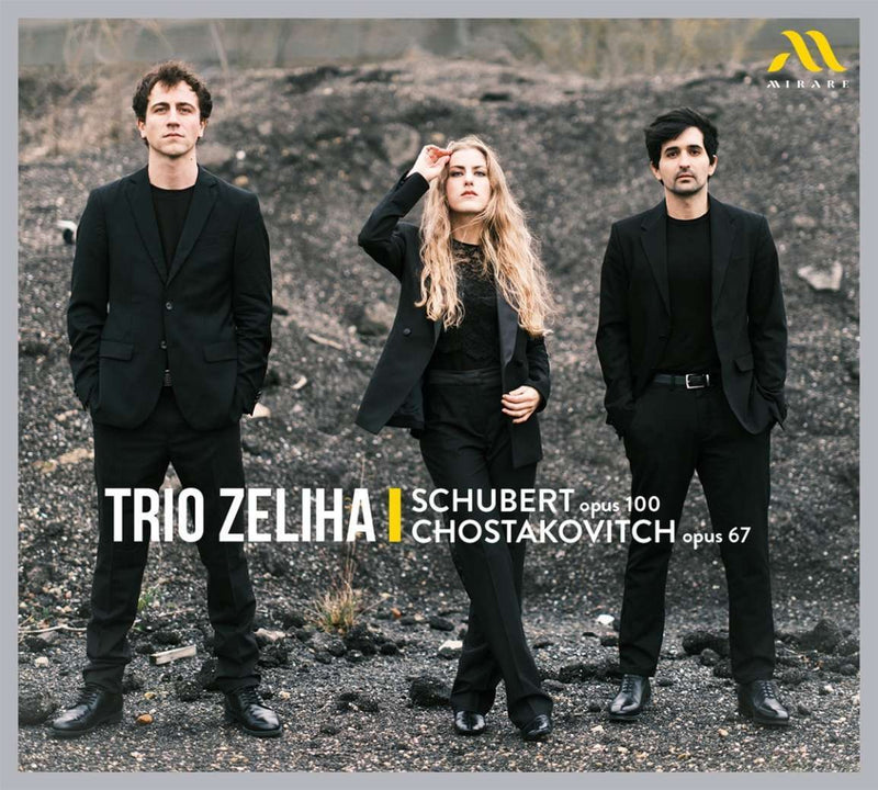 Schubert, Op. 100/Chostakovitch, Op. 67