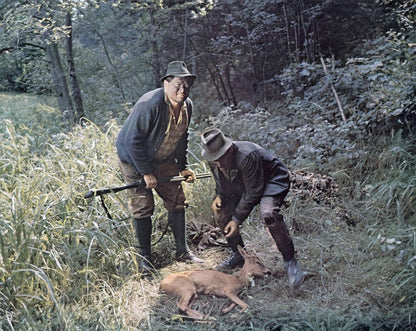 Das Mädel aus dem Böhmerwald (Filmjuwelen