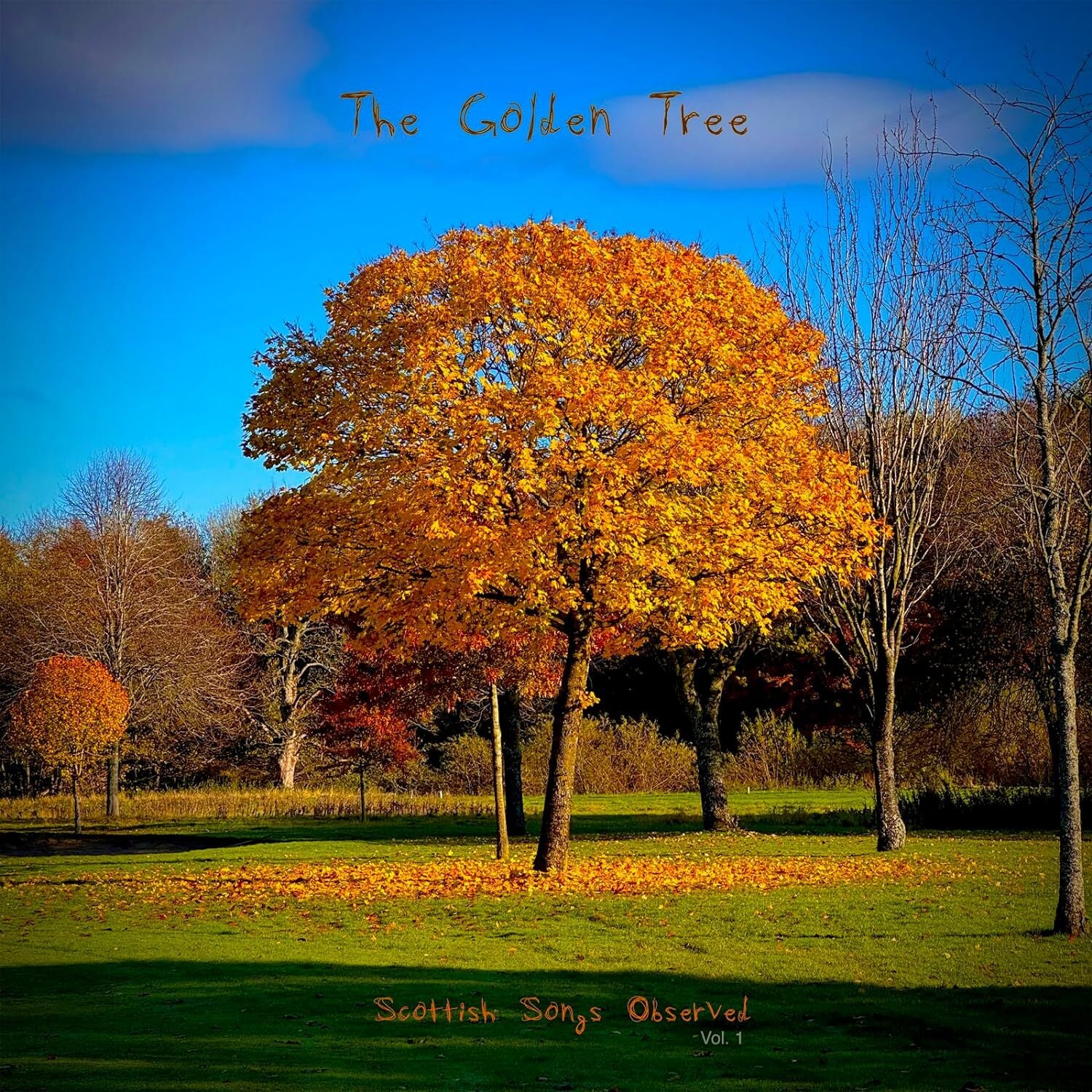 Scottish Songs Observed