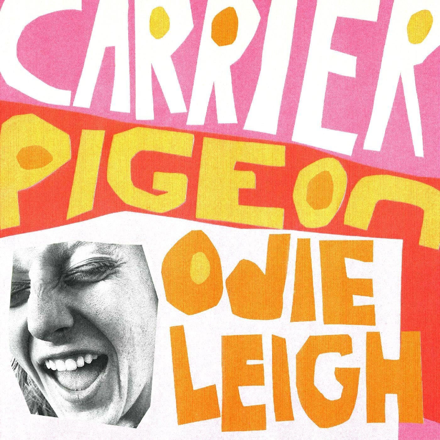 Carrier Pigeon