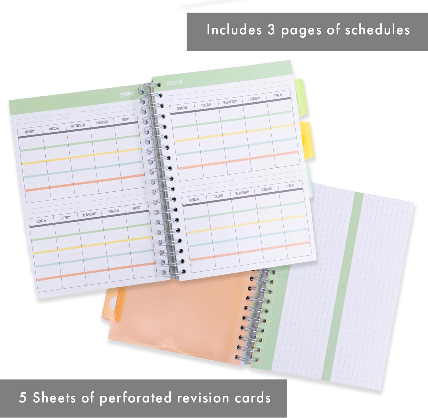 Pukka Pad, B5 Study Book - 120 Page, 60 Sheet B5 Notebook - Repositionable Dividers, Lined, Squared, & Dotted Paper, Schedules, Assignment & Grade Trackers, Exam Prep, and Revision Cards, 25.4 x 18cm