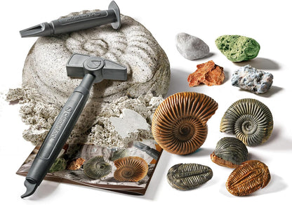 Clementoni - Scienza Lab Minerali Kit Fossils for Digging, Rocks, Science Game 6 Years, Paleontology for Children, Mineralogy, Laboratory in Italy, Made in Italy, Multi-Colour, 19371