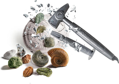 Clementoni - Scienza Lab Minerali Kit Fossils for Digging, Rocks, Science Game 6 Years, Paleontology for Children, Mineralogy, Laboratory in Italy, Made in Italy, Multi-Colour, 19371