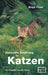 Naturnahe Ernährung für Katzen: Ein Ratgeber aus der Praxis