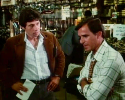 Lou Grant, Staffel 5 / Die letzten 24 Folgen der preisgekrönten Kultserie mit Edward Asner (Pidax Serien-Klassiker)