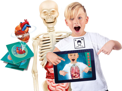 Clementoni - Science Lab - The Human Body Anatomy, Model Skeleton and Organs to Assemble, Scientific Game 8 Years, App Augmented Reality, in Italian, Made in Italy,