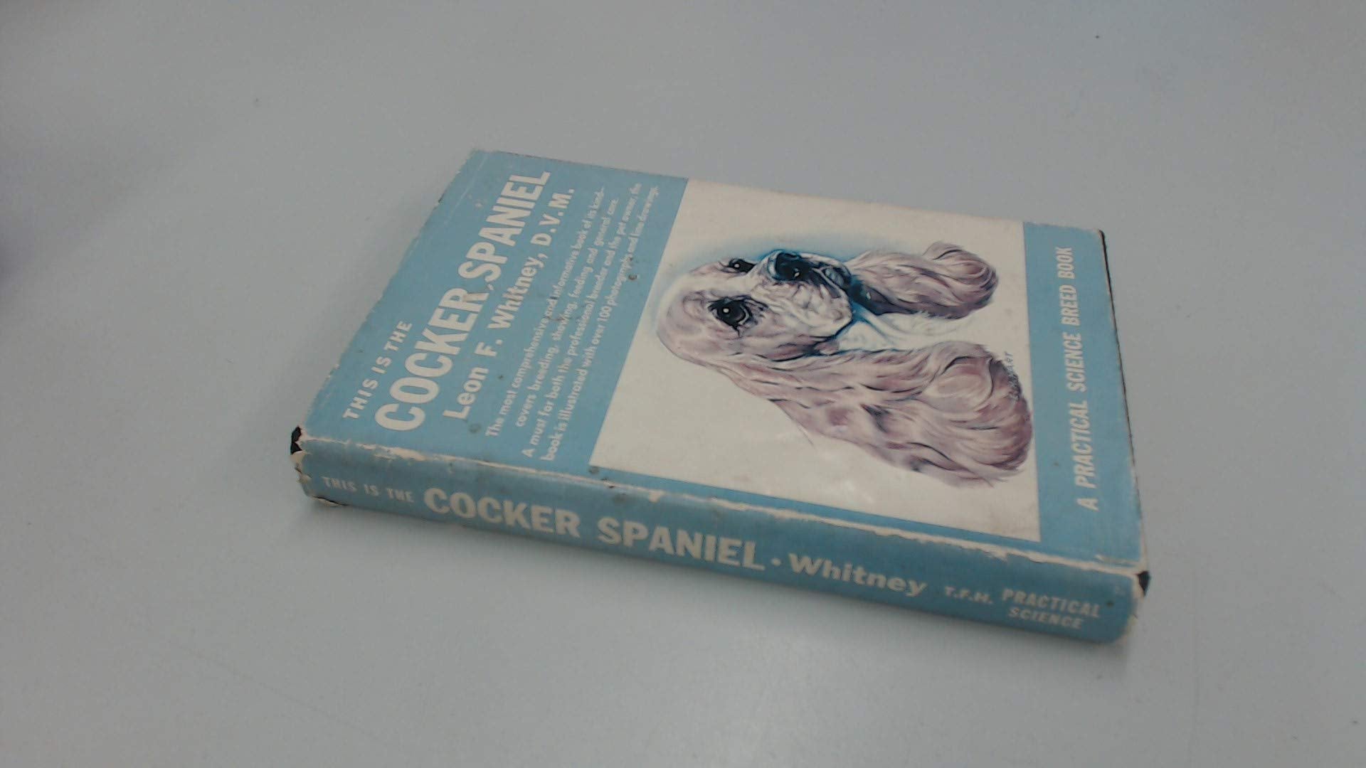 Cocker Spaniel: Hunde in der Kunst: Hunde in der Kunst. Katalog zur Ausstellung in der Kunsthalle zu Kiel, 2009/10 u. Ursula Blickle Stiftung 2009