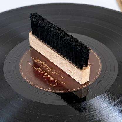 Spazzola Antistatica In Legno