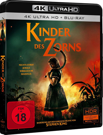 Kinder des Zorns (Stephen King