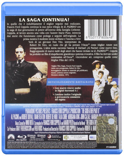 Il Padrino Parte Ii