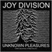 Joy Division Unknown Pleasures Woven Patch