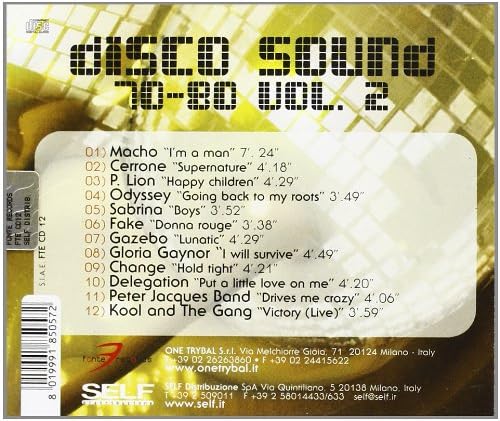 Disco Sound 70-80 Vol.2