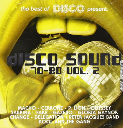 Disco Sound 70-80 Vol.2