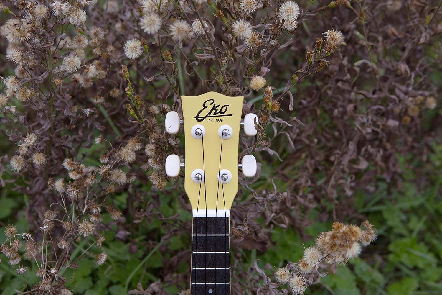 EKO Primo Series Ukulele - Yellow (06201012
