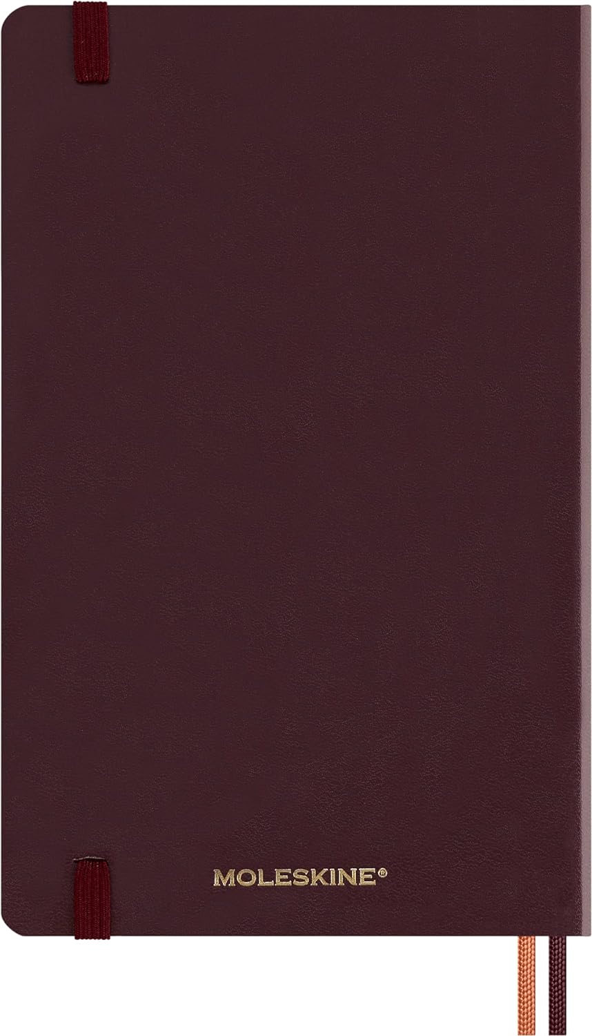 Moleskine Daily Planner Wizarding World Harry Potter Spells Collection Accio, 12-Month Daily Planner, Phosphorescent Hardcover, Large Size 13 x 21 cm