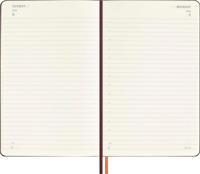 Moleskine Daily Planner Wizarding World Harry Potter Spells Collection Accio, 12-Month Daily Planner, Phosphorescent Hardcover, Large Size 13 x 21 cm