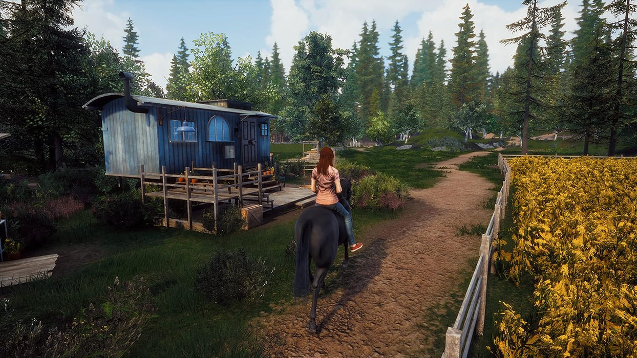 WINDSTORM: START OF A GREAT FRIENDSHIP CiB