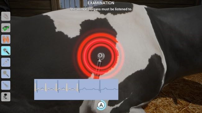 MY LIFE: FARM VET
