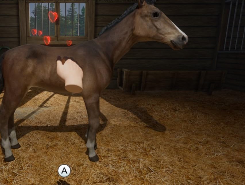 MY LIFE: FARM VET