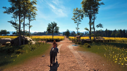 WINDSTORM: START OF A GREAT FRIENDSHIP REMASTERED