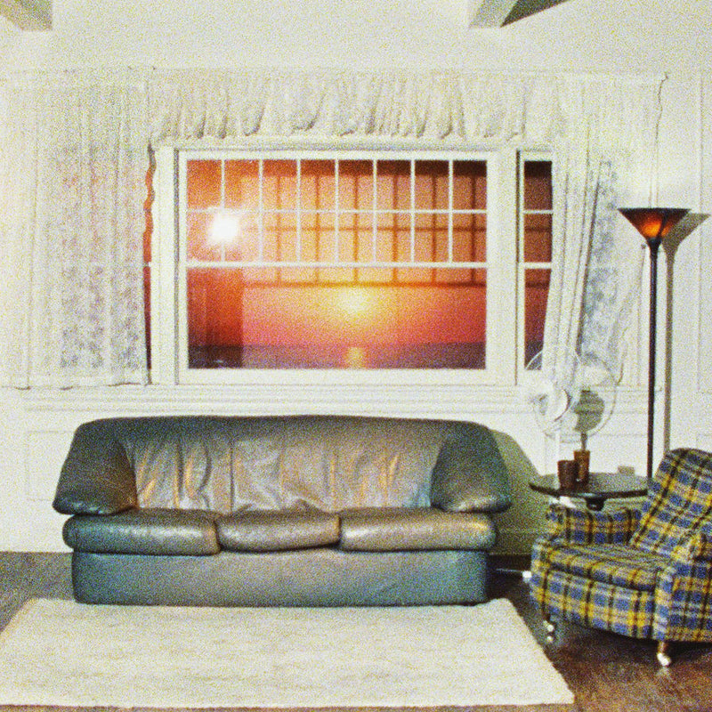 Model - Translucent Ruby & Grape Marble Vinyl
