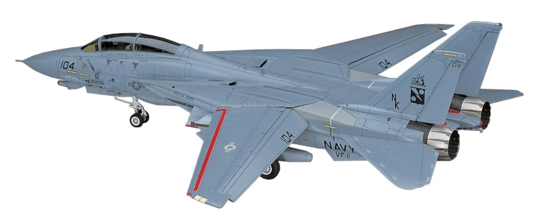 Hasegawa 1/48 F-14D Tomcat "CVW-14"