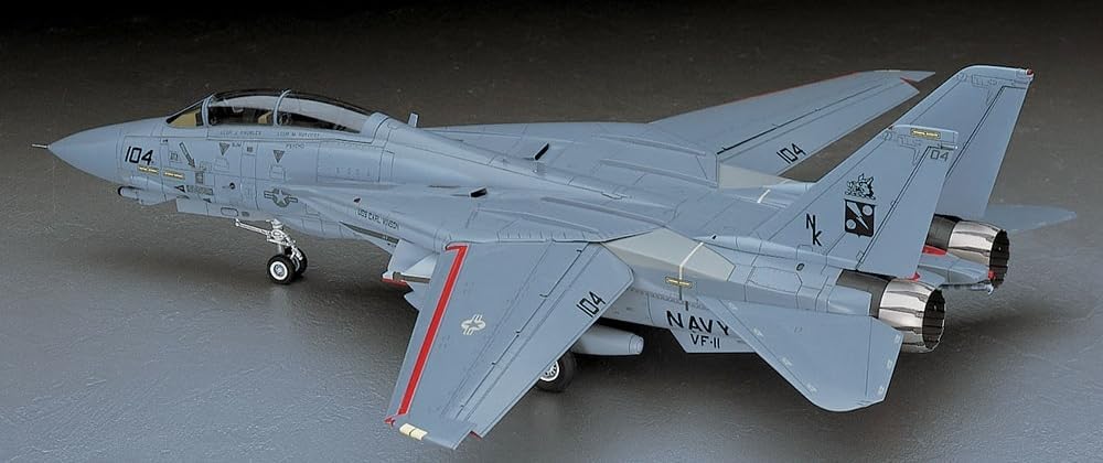 Hasegawa 1/48 F-14D Tomcat "CVW-14"