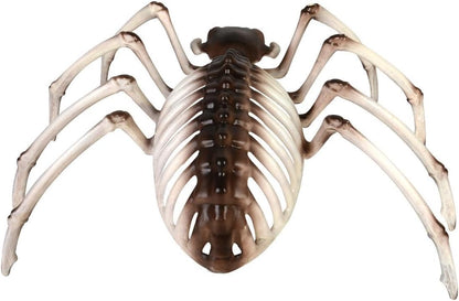 `Spider Skeleton Prop, 17cmx30cmx19cm`