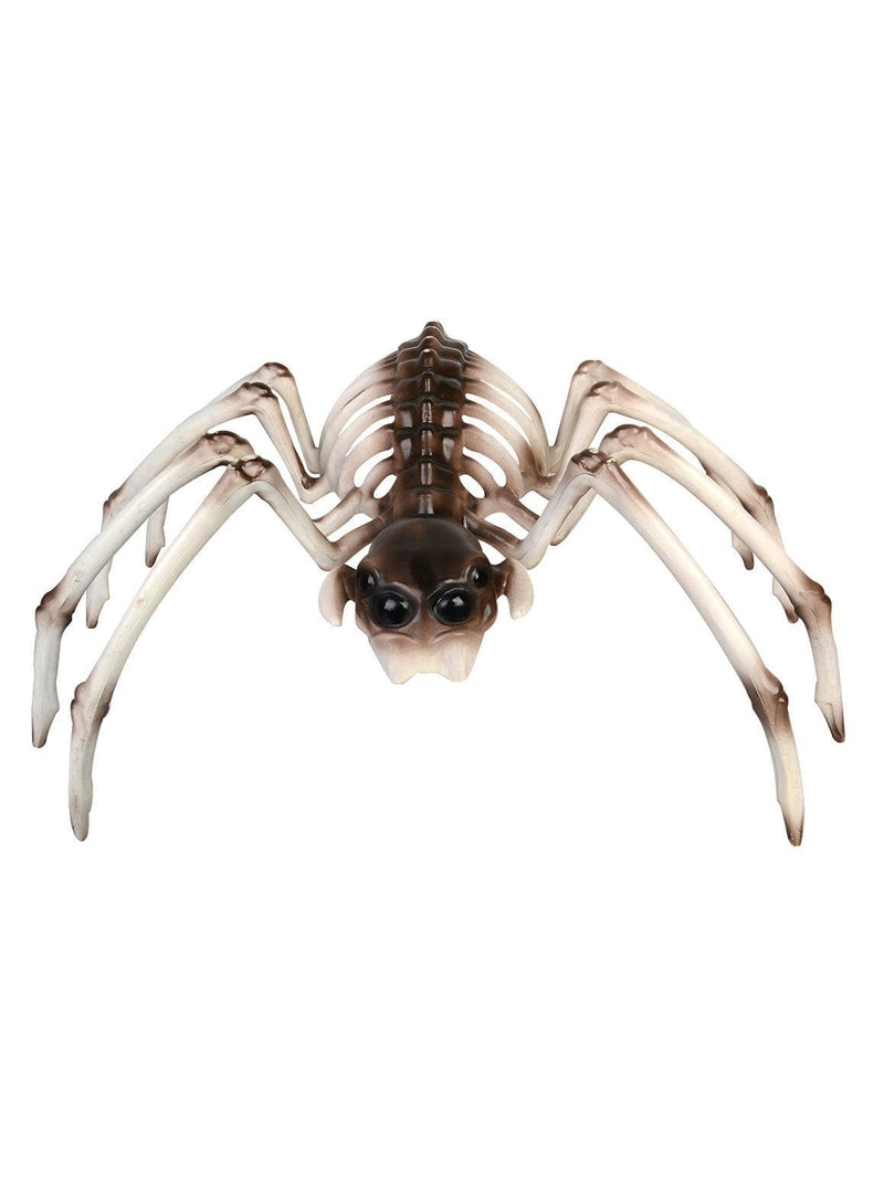 `Spider Skeleton Prop, 17cmx30cmx19cm`