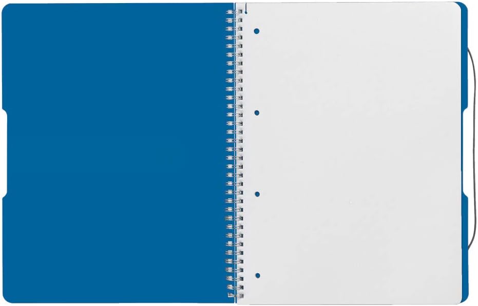 Herlitz 11293065 Spiralblock A4 to go, Holzfreies Papier, 80 Blatt, blau balu A4