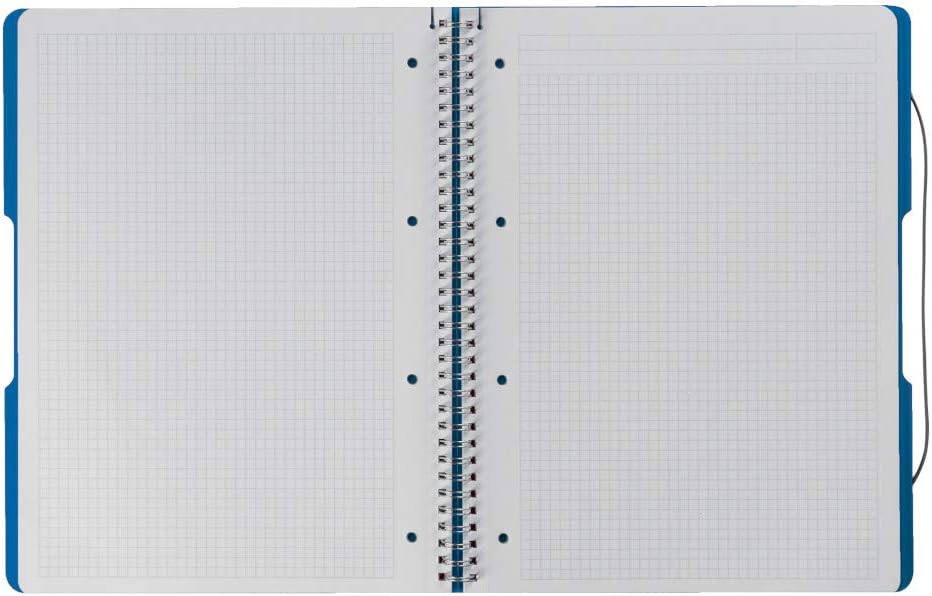 Herlitz 11293065 Spiralblock A4 to go, Holzfreies Papier, 80 Blatt, blau balu A4