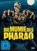 Die Mumie des Pharao - Limitiertes Mediabook auf 222 Stück - Cover B (Blu-ray + DVD