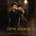 The Twilight Saga: New Moon