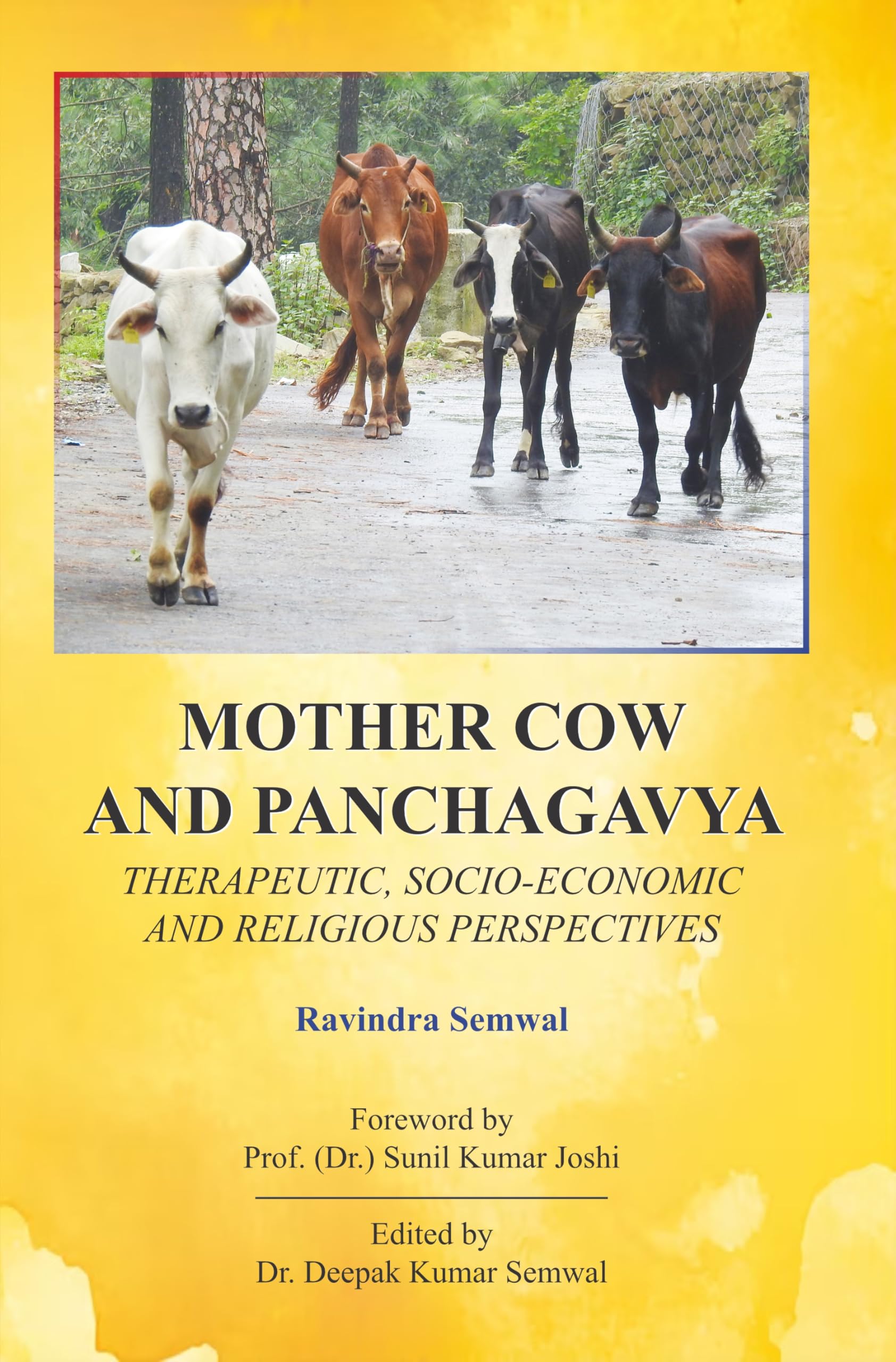 Mother Cow and Panchagavya