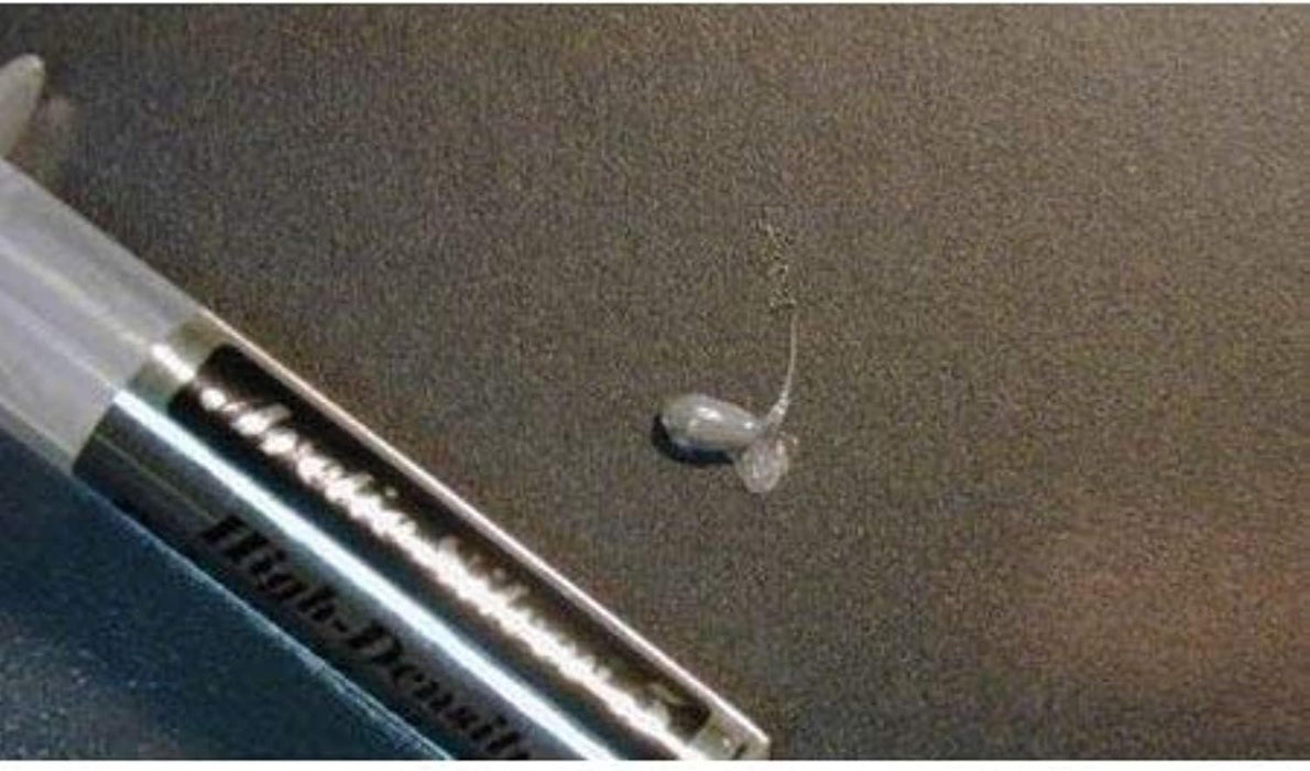 Arctic Silver 5 Thermal Compound 3.5g Tube 1 Tube