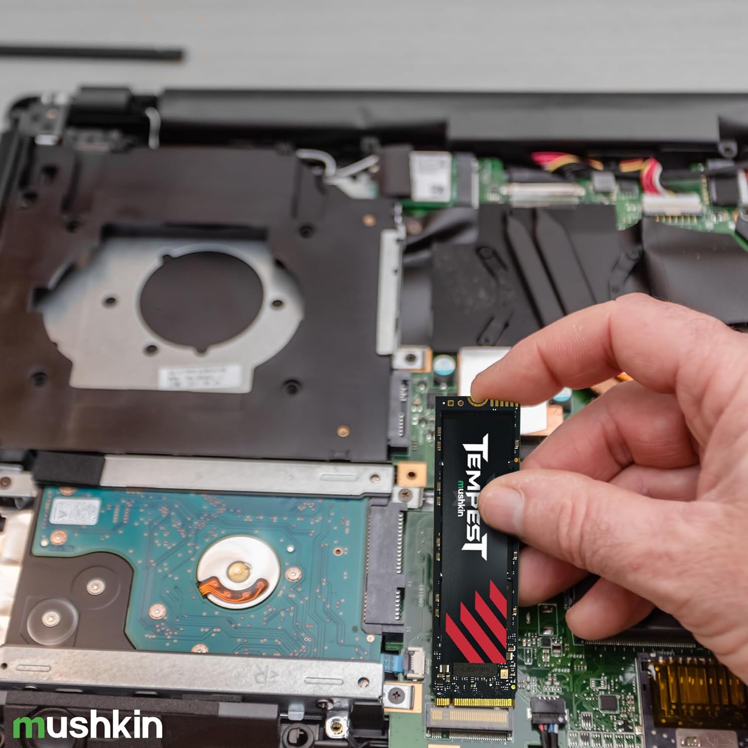 SSD 256GB Mushkin M.2 (2280) Tempest NVMe PCIe i
